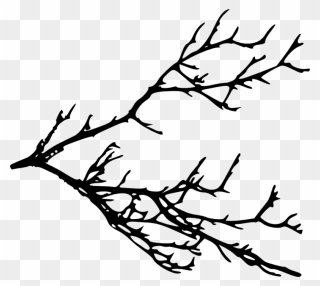 Clipart Tree Branch Silhouette Clip Download Tree Branches - Silhouette Tree Branches Transparent - Png Download