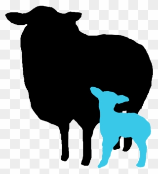 Lamb - Cattle Clipart