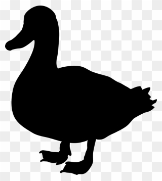 Duck Goose Clip Art Fauna Silhouette - Duck Silhouette Png Transparent Png