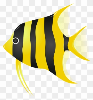 Angelfish Clipart エンゼル フィッシュ イラスト フリー Png Download Full Size Clipart Pinclipart