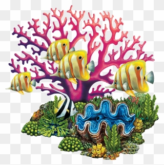 Porc-cr82 Coral Reef Copy - Clip Art Images Of Coral Reef - Png Download