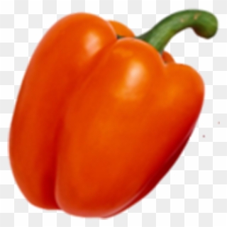 Habanero Bell Pepper Cayenne Pepper Tabasco Pepper - Овощи Clipart