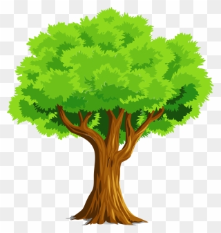 Picture - Tree Clipart - Png Download