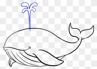 How To Draw Whale - Blue Whale Simple Drawing Clipart