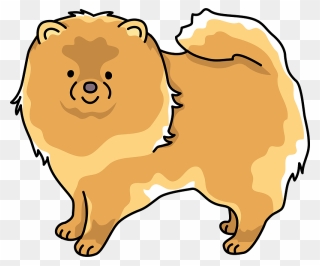 Pomeranian Dog Clipart - Pomeranian - Png Download