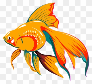 Goldfish Koi Aquarium Clip Art - Outline Drawing For Tropical Fish - Png Download