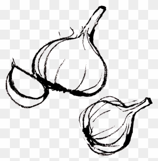 Transparent Garlic Clipart - Food Drawing Png