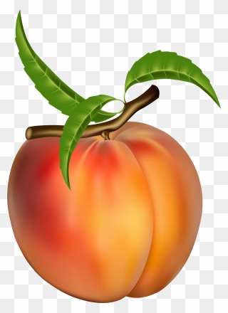 Peach Fruit Apricot Clip Art - Peach Fruit - Png Download