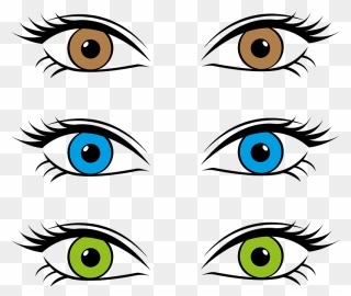 Eyes 1185176 Clipart - Eye Color Clipart - Png Download