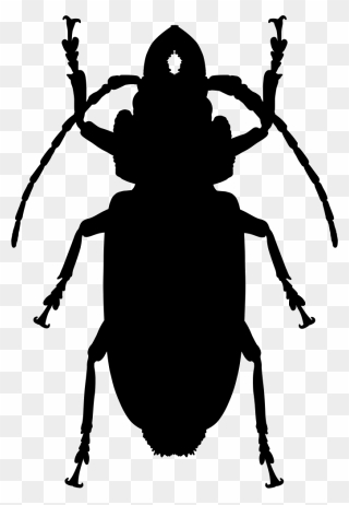 Cockroach Insect Computer Icons - Cockroach Clipart