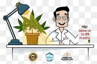 Medical Marijuana Card Online - Cartoon Clipart