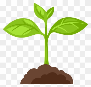 Plant Clipart - Png Download