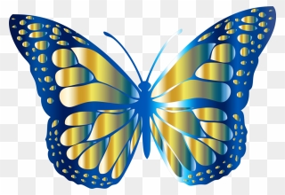 Blue And Gold Monarch Butterfly Vector Files Image - Butterfly Picture For Kids Clipart
