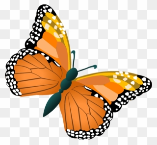 Butterflies Pinterest Origami - Mariposa Con Nombre Animado Clipart