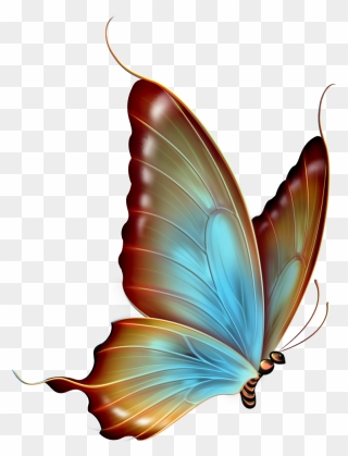 Butterfly Clipart Png Images - Transparent Background Butterfly Png