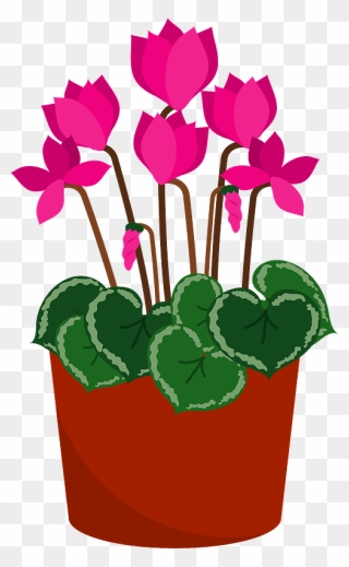 Persian Cyclamen Flower Clipart - シクラメン イラスト 無料 - Png Download