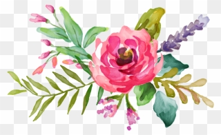 Water Color Clipart Flower Accent - Vector Pink Watercolor Flowers - Png Download