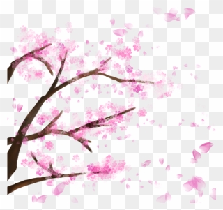 Blooming Cherry Tree, Cherry Blossom，sakura, Cherry, - Sakura Tree Png Clipart