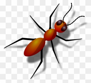 Ant Squash Free Content Clip Art - Animal That Has 6 Legs - Png Download