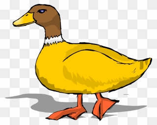 Duck Clipart - Png Download