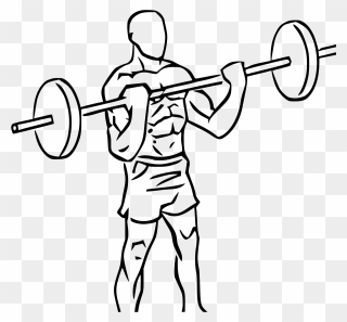 Barbell Transparent Drawing, Picture - Biceps Curls Png Clipart
