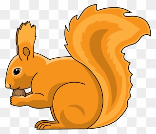 Squirrel Clipart - Fox Squirrel - Png Download