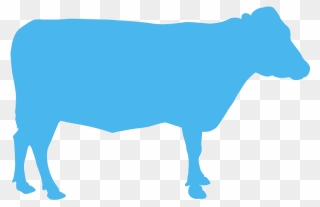 Transparent Cow Head Clip Art - Cattle - Png Download