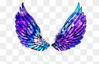 #wings #galaxy #angel #halo #bird #party #urban - Transparent Galaxy Angel Wings Clipart