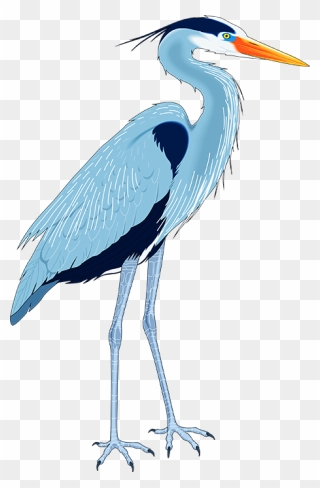 Great Blue Heron Drawing Clip Art - Blue Heron Clip Art - Png Download