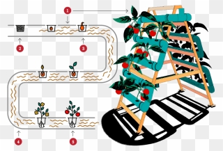 Illustration Clipart