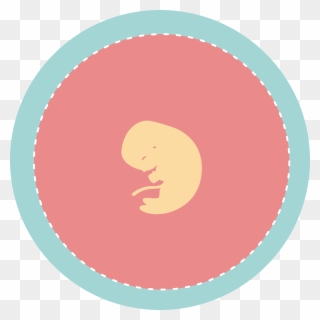 Circle Clipart