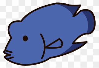 Humphead Wrasse Napoleonfish Clipart - Png Download