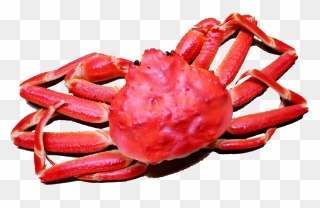 Transparent Red Crab Png - Clipart Crab