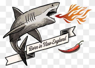 Spicy Shark Logo Clipart