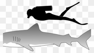Great White Shark Vs Sandtiger Shark Clipart