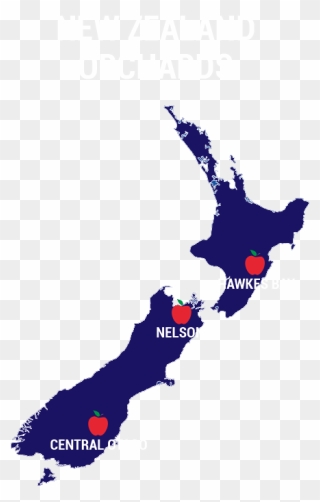 New Zealand Nelson University Clipart