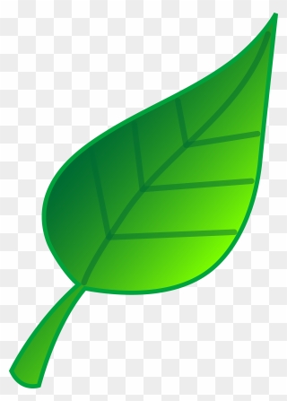 Leaf Clip Art - Green Leaf Clipart - Png Download