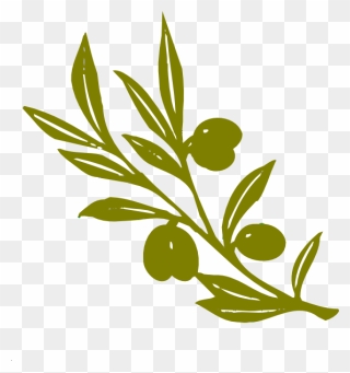 Olive Branch Clip Art Black And White - Png Download