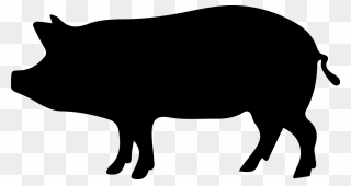Wild Boar Clip Art - Porco Png Transparent Png