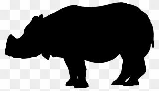 Rhinoceros Clip Art Domestic Pig Image Silhouette - Polar Bear Icon Png Transparent Png