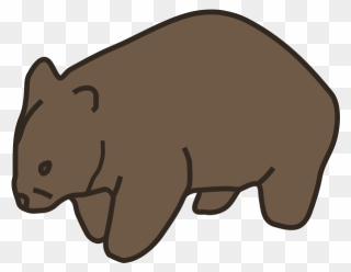Wombat - Wombat Clip Art - Png Download