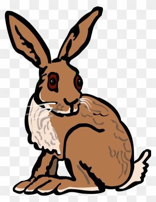 Hare Clipart - Clip Art Of A Hare - Png Download