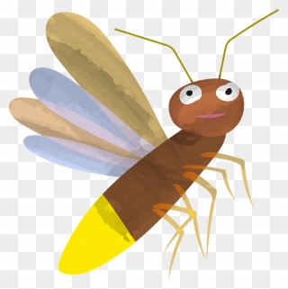Firefly Clipart - Net-winged Insects - Png Download