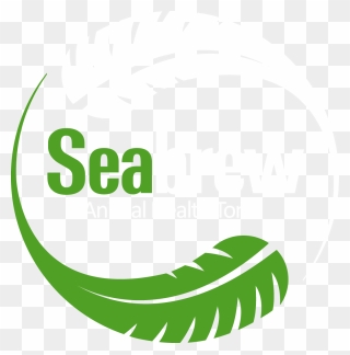 Seaweed Clipart Png , Png Download - Illustration Transparent Png