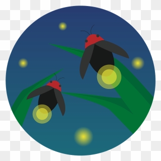 Firefly Insect Clipart - Illustration - Png Download