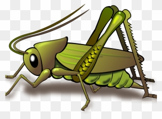 Grasshopper Insect Clip Art - Png Download