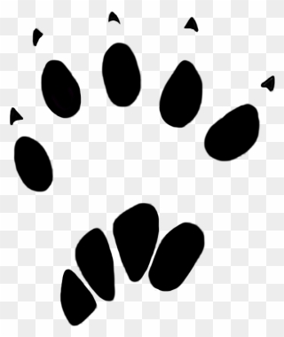 Animal Tracks Png - Squirrel Animal Footprints Clipart