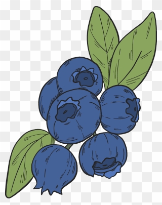 Huckleberry Clipart