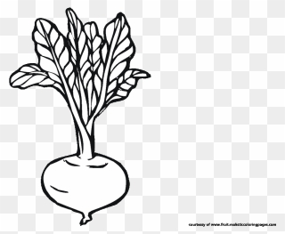 Beetroot Clipart Black And White - Png Download