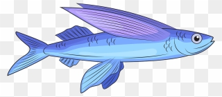 Flying Fish Clipart - Png Download